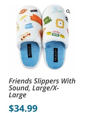 Friends Talking Slippers Sz L NWOT